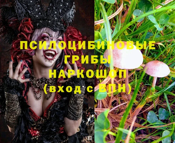 молекула духа Гусь-Хрустальный