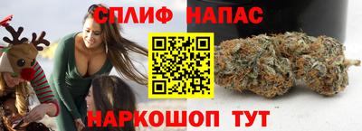 ECSTASY Лесосибирск