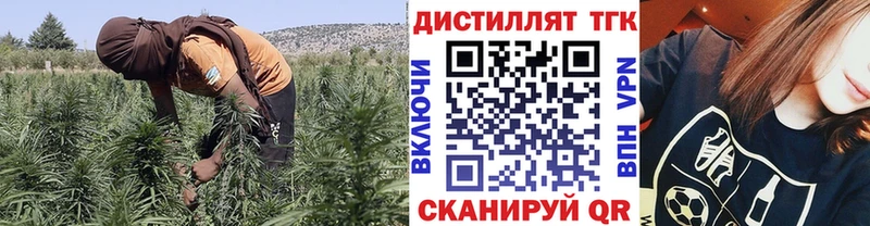 ТГК вейп с тгк  наркошоп  Заводоуковск 