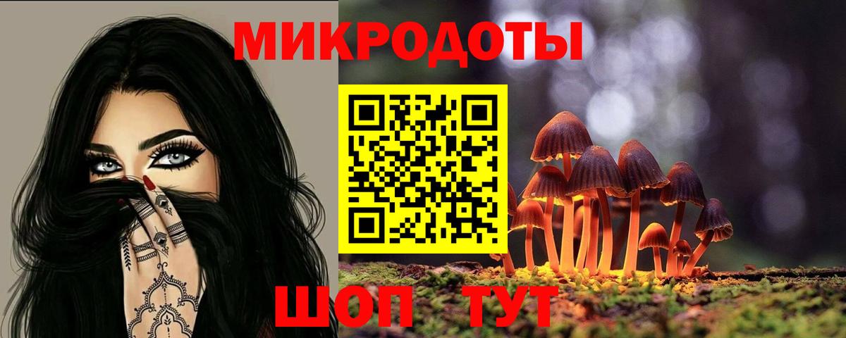 Галлюциногенные грибы Magic Shrooms Заводоуковск
